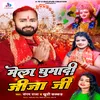 About Mela Ghumadi Jija Ji Song