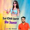 About Tui Chili Jana Re Jana Song