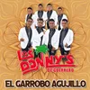 About El Garrobo Agujillo Song