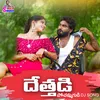 About Dethadi Pochammagudi Song