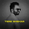 About Tere Shehar Song