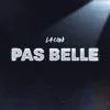 About Pas Belle Song