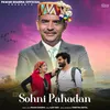 About Sohni Pahadan Song