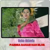 Pasisia Ranah Nan Elok