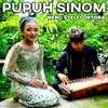 About PUPUH SINOM Song