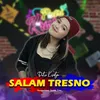 About Salam Tresno Song