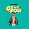 About Want You Song