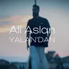 About Yalandan Song