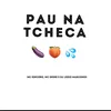 Pau na Tcheca