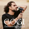 About Zaboravljeni grad Song