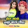 About Dil Mango Jamui Bala Chhoura Song