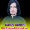 Milli Shaheed Usman Lala