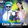 About MERI TU GALA SHUNI JA Song