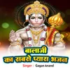 About Balaji Ka Sabse Pyara Bhajan Song