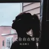 About 我爱你你在哪里 Song