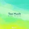 About Too Much Song
