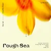 About Rough Sea Song