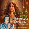 About Tera Jaikara Karte Hai Song