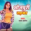 About Bhojpuri Tadka Song