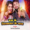 About Baje Neelkamal Ke Gana Song