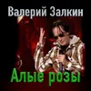 About Алые розы Song