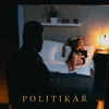 About Politikář Song