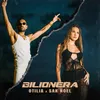 About Bilionera Song