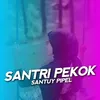 Santri Pekok