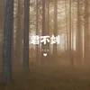 About 君不剑 Song