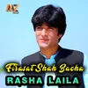 About Rasha Laila Song