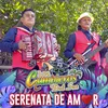 About Serenata De Amor Song