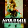 About Apologize Song