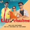 About Kalu Chashma Song