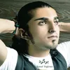 About برگرد Song