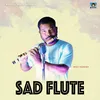 About Sad Flute Song