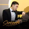 About Serenade Song