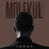 About MOLEKÜL Song
