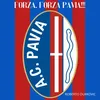 Forza, forza Pavia!!!