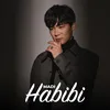 About Habibi Song