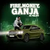 About Fire, Money, Ganja Song
