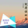 About 就等你回来 Song