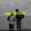 About Saktenane Song