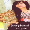 About Jurang Pamisah Song