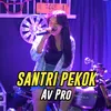 Santri Pekok