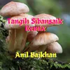 About Tangih Sibansaik Remix Song