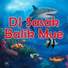 About DJ Sasak Balik Mue Song