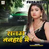 About Shanm Tanhai Me Song