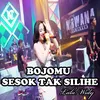 About Bojomu Sesok Tak Silihe Song