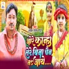 About Ore Kanha Tere Bina Chain Na Aaye Song