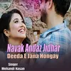About Navak Andaz Jidhar Deeda E Jana Hongay Song